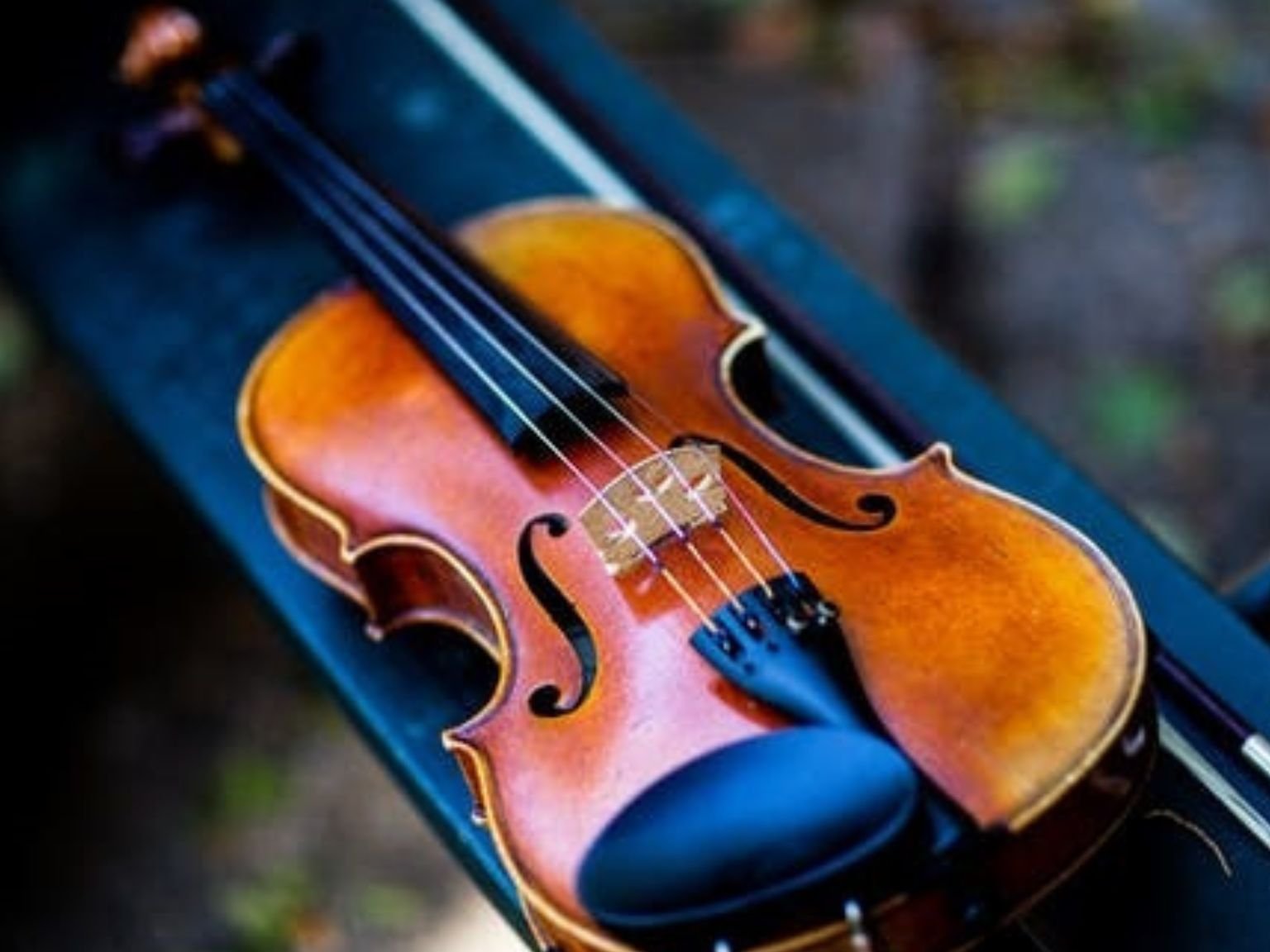 Violin