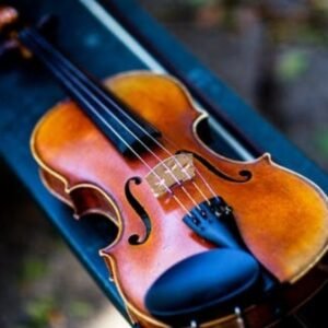 Viola
